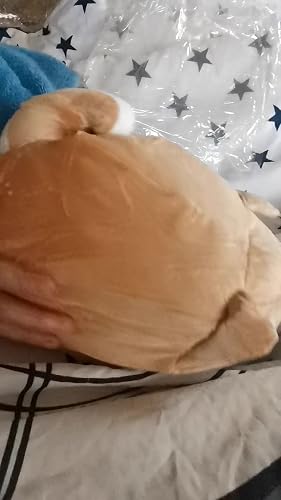 LICHENGTAI Corgi Plüschkissen - Super Weiches Kuscheltier, 50cm, Perfekt Als Geschenk