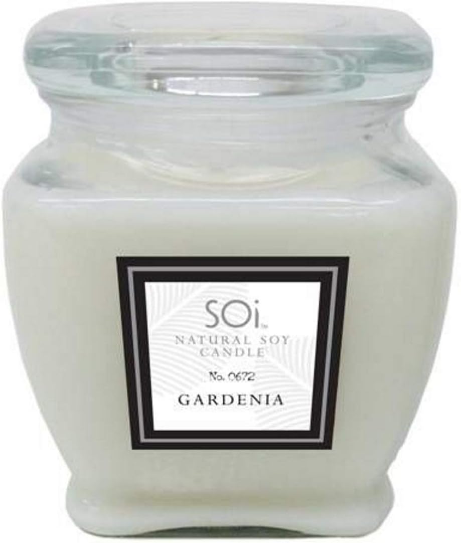 SOI Company Gardenia Modern Jar Candle, 18 oz Home &