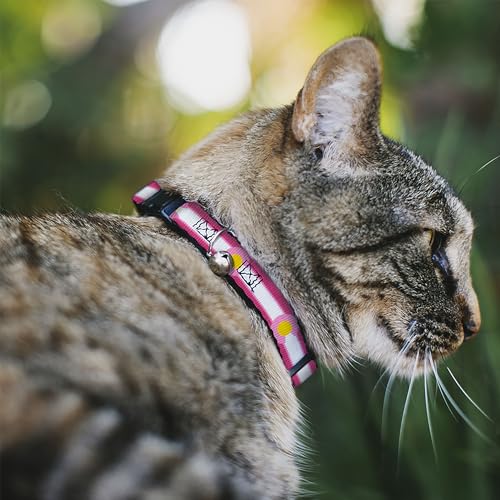 Collar para Gato Buckle-Down Protege a tu Compañero con Talla M 1.27cm 3