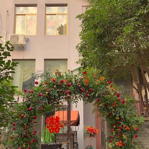 Support pour fleurs d'arbre à roses robuste et facile à assembler - 7