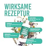 Petsly® Floh & Zeckenmittel für Hunde -500ml - Flohshampoo Hund & Zeckenschutz Hund & Katze, Flohmittel Hund mit Teebaumöl - Sensitives Hundeshampoo, Floh und Zeckenschutz für Hunde