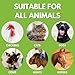 Chicken's Choice Wound Care for Chickens & Birds. Advanced Wound Care Spray for Poultry. Works for Bumblefoot, Vent Prolapse, Pecking Sore, Burns & Skin Irritations. 8 oz Ready to Use Spray
