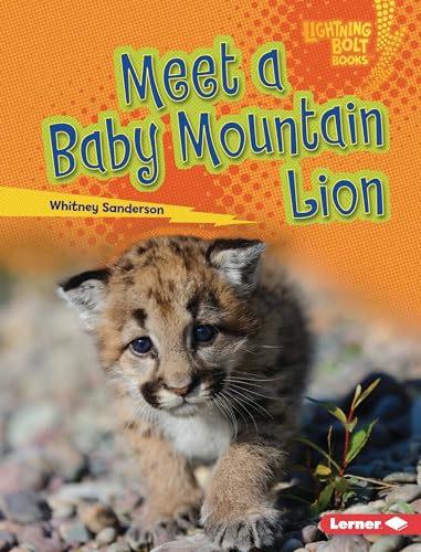 Meet a Baby Mountain Lion (Lightning Bolt Books ® ― Baby North American Animals)