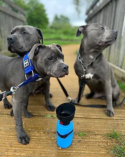 Lesotc Pet Water Bottle For Dogs, Dog Water Bottle Foldable, Dog Travel Water Bottle, Dog Water Dispenser, Lightweight & Convenient For Travel Bpa Free (21Oz, 2Nd Gen Upgraded Blue) #TOP6