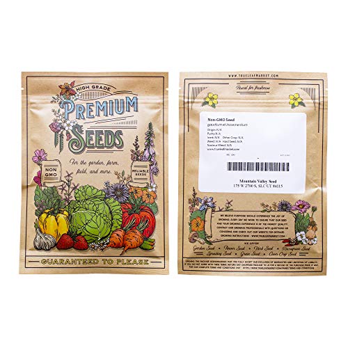 Contender Bush Bean Seeds (Treated) - 4 Oz ~400 Seeds - Non-Gmo, Heirloom - Also Called Buff Valentine - Vegetable Farm & Garden Seeds - Phaseolus Vulgaris #TOP1