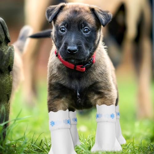 Milisten 20 Unidades De De Pata Descartáveis ​​Para Botas De Cachorro Sapatos De Cachorro Com Bandag