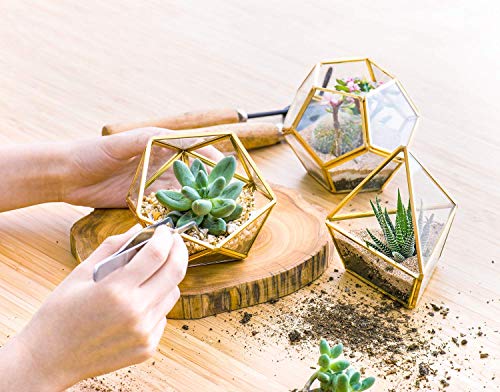 Mkono Office Decor For Women, Artificial Succulent In Geometric Terrarium And 5 Packs Air Plant Holder Mini Potted Faux Plant Bookshelf Desk Office Decor #TOP2
