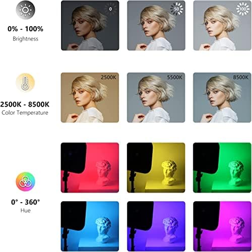 NEEWER 18.3 RGB LED Video Light Panel with App Control Stand Kit 2 Packs, 360° Full Color, 60W Dimmable 2500K~8500K RGB168 LED Panel CRI 97+ with 17 Scene Effect for Game/YouTube/Zoom/Photography