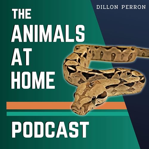 BONUS: RACKS vs. VIVS DEBATE | Is Rack Keeping Ethical? Podcast Por  arte de portada