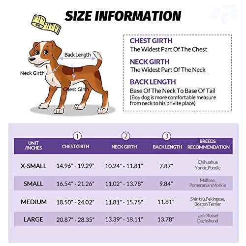 Queenmore Small Dog Shark Life Jacket,Dog Life Vest For Swimming Boating Kayaking,High Buoyancy Puppy Dog Life Preserver,Reflective Light Dog Lifesaver With Strong Rescue Handle (Purple,S) #TOP3