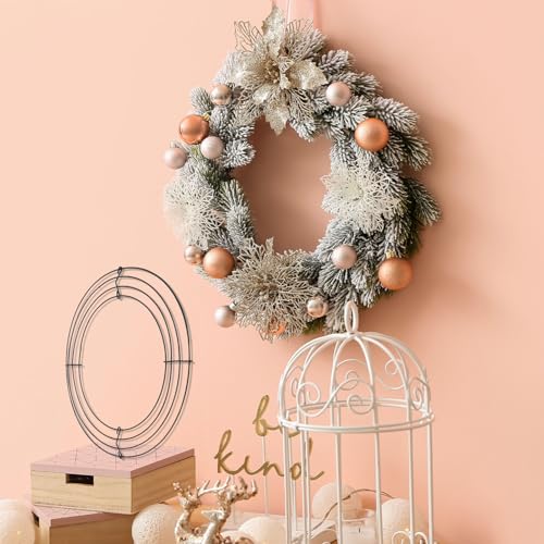 Dohia 10 Inches Round Wire Wreath Frames Metal Floral Wreath Frame Wire Wreath Rings for Christmas New Year Party Home Decor DIY Crafts Supplies ST4-HHTJ