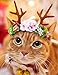 Bwogue Pet Antlers Headband Holiday Christmas Halloween Costume for Dogs Cats Hair Accessories