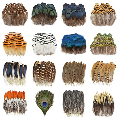 Queenbox 50Pcs Natural Peacock Feather, Pheasant Plumage For Diy Craft Costume Dream Catcher Wedding Festival, 30 #TOP7