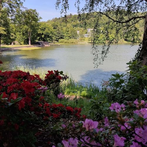 Audrey Grant: Reading Mary Martin&rsquo;s Wall Construction