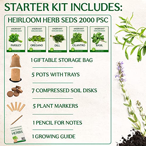 Medicinal Herbs Starter Kit - Non Gmo, Heirloom Seeds - Basil, Parsley, Cilantro (Coriander), Oregano, Dill - Includes Pots, Soil, Bamboo Plant Markers - Gardening Gift #TOP1