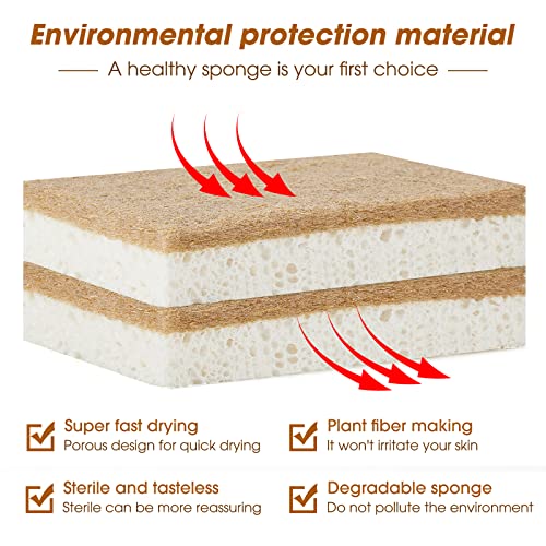 Greenth Pro 10 Pack Nature Dish Sponge - Natural Kitchen Sponge - Eco Friendly Coconut Fiber And Wood Cellulose Scrubber Sponge #TOP3