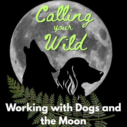 『Calling Your Wild Astrology』のカバーアート