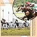 ITULCYO 8PC Dressage Letters Arena Markers，Dressage Letters for Arena Equestrian Athletes Letters Dressage Arena Letters Arena Dressage Letters Dressage Arena Markers Letters（A，B，C，E，F，H，K，M）