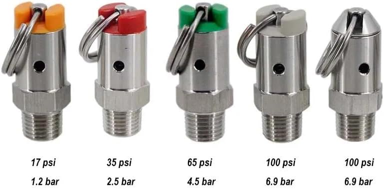 Pressure Relief Valve(PRV) with 1/4" Male NPT Stainless Steel 304 Homebrew Kegging Parts DIY Keg Component(65 psi)