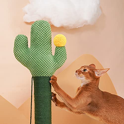 árbol para Gatos Cactus Gato Escalada Marco Gato rascador Gato Juguete Gato de pie pequeño Gato Escalada Poste Gato rascador Actividades para Gatos Muebles para Gatos