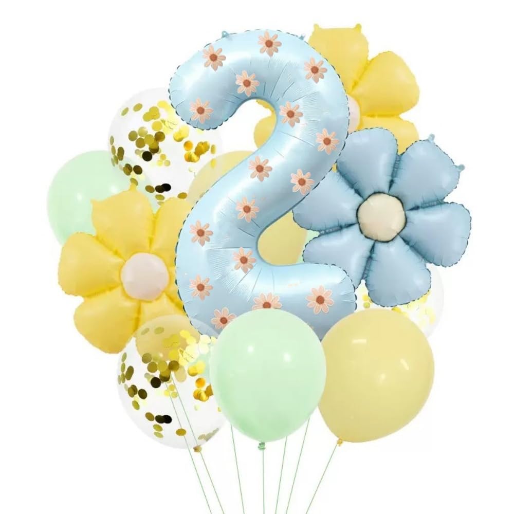 Photo 1 of HAUCIAJEIN Light Blue Number 2 Daisy Balloon Kit