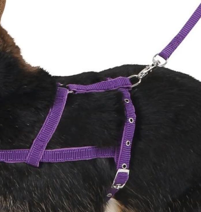Kerbl Pet Schultergeschirr Agility mit Leine, 2m, lila, M
