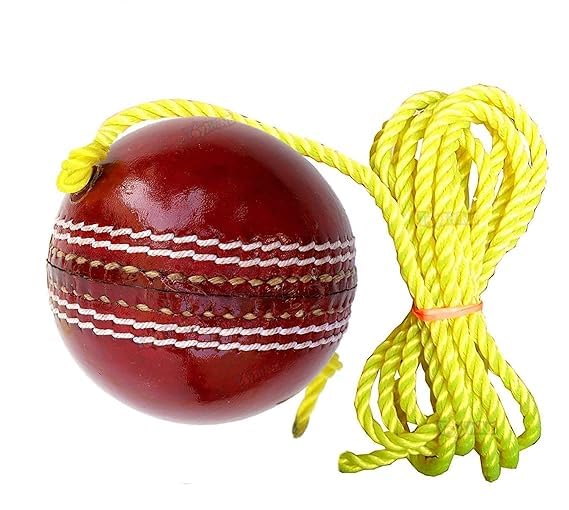 GoSpree Leather Hanging Cricket Ball for Practice Match | Hanging & Knocking Ball for Indoor & Outdoor Training (Pack of 1) (B0D4DK4DDC) Amazon Price History, Amazon Price Tracker