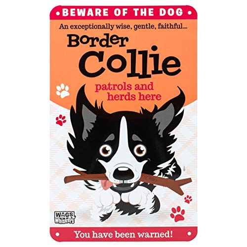 Wags and Whiskers Sign-Border Collie, Hierro Multicolor, L