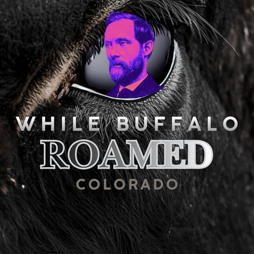 SE3 - Bona Fide: The REPORT of Greeley, Villard and Richardson cover art