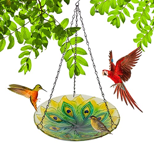DREAMSOUL Hanging Glass Peacock Bird Bath