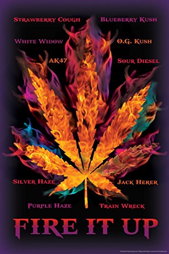 Laminated Fire It Up Marijuana Pot Leaf Names Fire Flames College Weed Cannabis Room Dope Gifts Guys Propaganda Smoking Stoner Reefer Stoned Buds Pothead Dorm Walls Poster Dry Erase Wall Art 16x24