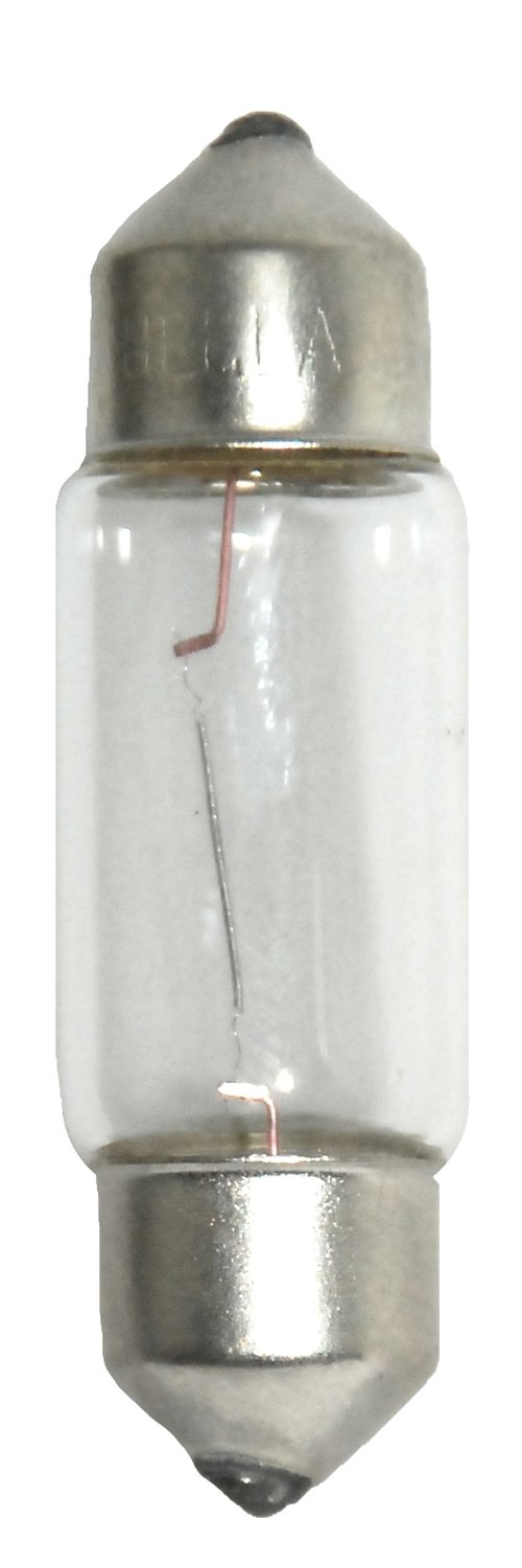 Hella Hella 6418 12V Bulb