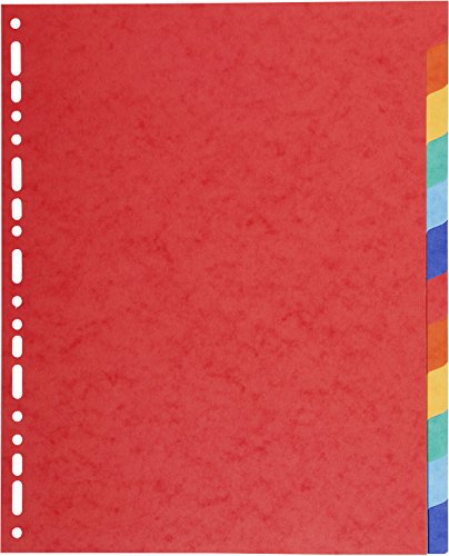 Preisvergleich Produktbild Register A4+ Manilakarton 12-tlg