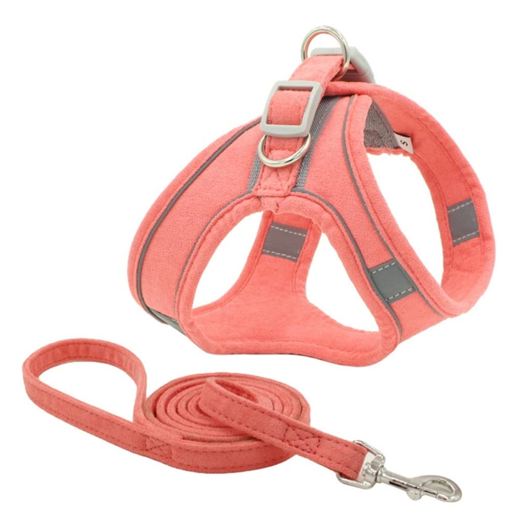 Pet Dog Chest Harness and Leash Set Breathable Adjustable Dog Harness Suitable for Small and Medium-Sized Puppies Vest (C L)