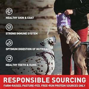   PURPOSE-Freeze-Dried-Dog-Food-Beef-Veggie-Patties-Entree-14-oz-High-Protein-Locally-Sourced-All-Natural-Convenient-Raw-Diet-for-All-Life-Stages