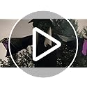 Haunted Hill Farm 15-ft. Animatronic Scary Talking Witch with Touch Activated Lights and Sound, Battery-Operated Outdoor Halloween Decoration