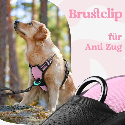 rabbitgoo Hundegeschirr Grosse Hunde, Verstellbare Geschirr Hund ohne Zug & Würgen, Anti Zug Hundegeschirr mit Griff, weich Gepolsterte Reflektierende Brustgeschirr, Rosa L