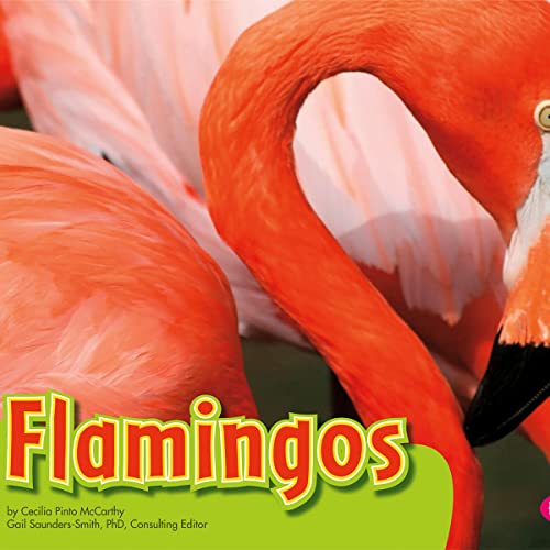 Flamingos by Cecilia Pinto McCarthy episode artwork