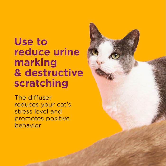 Comfort Zone Lot de 2 recharges apaisantes pour chat unique et multiple pour une maison apaisante 96 ml