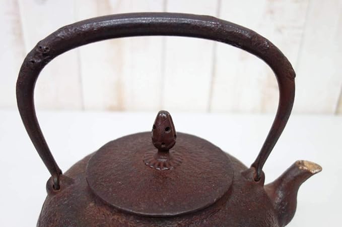 人気が高い used良品 鋼鉄 砂鉄混入 鉄瓶 岩手 盛岡 南部虎山工房 熊谷富男造アラレ キナル別注 Traverserdl Com 人気が高い used良品 鋼鉄 砂鉄混入 鉄瓶 岩手 盛岡 南部虎山工房 熊谷富男造アラレ キナル別注 Traverserdl Com