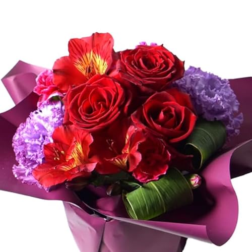 ԓX oƋG߂̂Ԃ̃t[AWg (bh/o/J[l[V) v[g Mtg 蕨 ԑ u[P   AWgt[ j a wj ̓