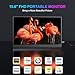 COOLHOOD Portable Monitor, 15.6 inch 1080P FHD IPS Second External Monitor with USB-C Mini HDMI Port, Second Screen Compatible with PC, Laptop, MacBook, Gaming Device