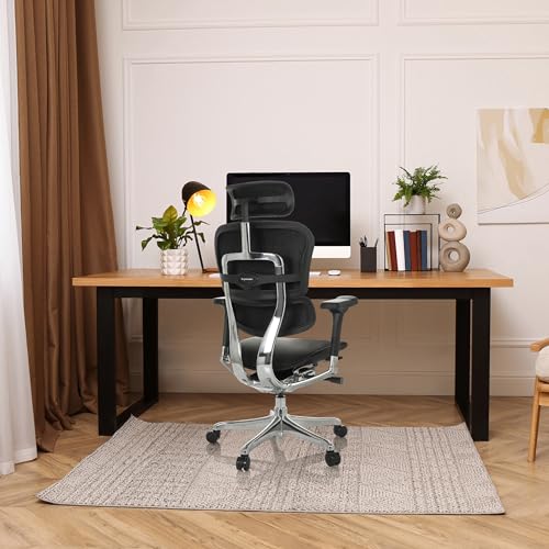 Ergonomischer B&uuml;rostuhl ERGOHUMAN GEN2 Schwarz