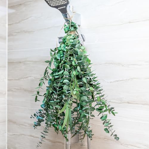 3kinds Natural Eucalyptus Stems Set for Shower Bundle