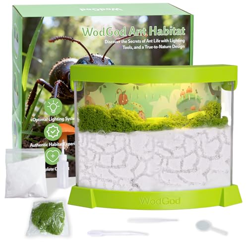 Illuminated Ant Farm Habitat with Magnifier - Educational Ecosystem for Ant Colony Observation, Home