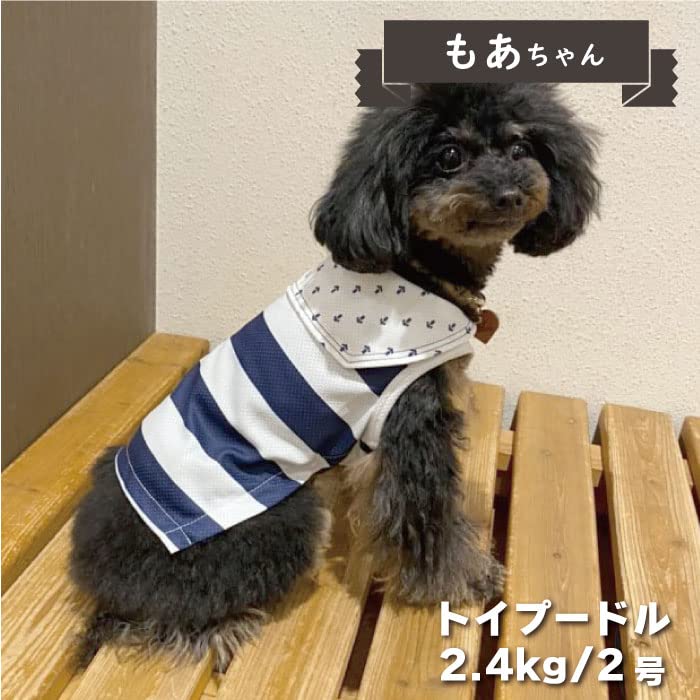 Amazon | 犬服 VERY 2022春夏 クールマリン セーラー 1号 小型犬