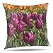 WzXlIzBH poszewek na poduszki 40x40 cm Letni fioletowy ogród tulipanów dekoracyjne poszewki na poduszki 16x16 Inch na sofę do salonu sypialni na patio ganek ogród samochód "D006