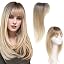 Ombre Light Brown to Blonde