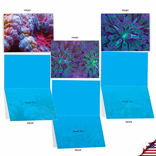 Box of 10 'Under the Sea' Thank You Note Cards (Mini 4" x 5 ¼"), Assorted Colorful Sea Anemone Greeting Cards with Envelopes, All Occasion Stationery for Weddings, Baby Showers, and Birthdays #M2103 - Image 3