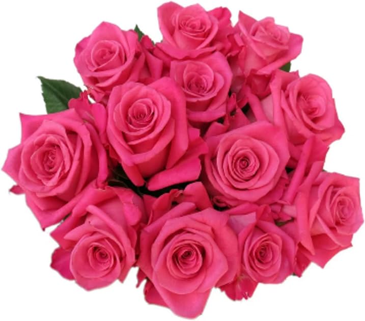 Floral, Pink Dozen Roses, 60 CM